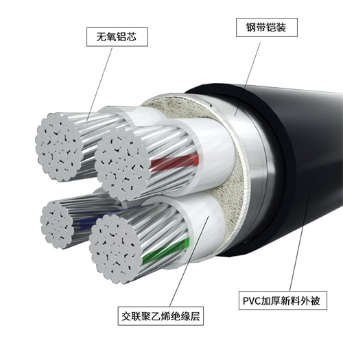 www.niwwvz.cn